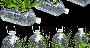 Bunu herkes yapabilir